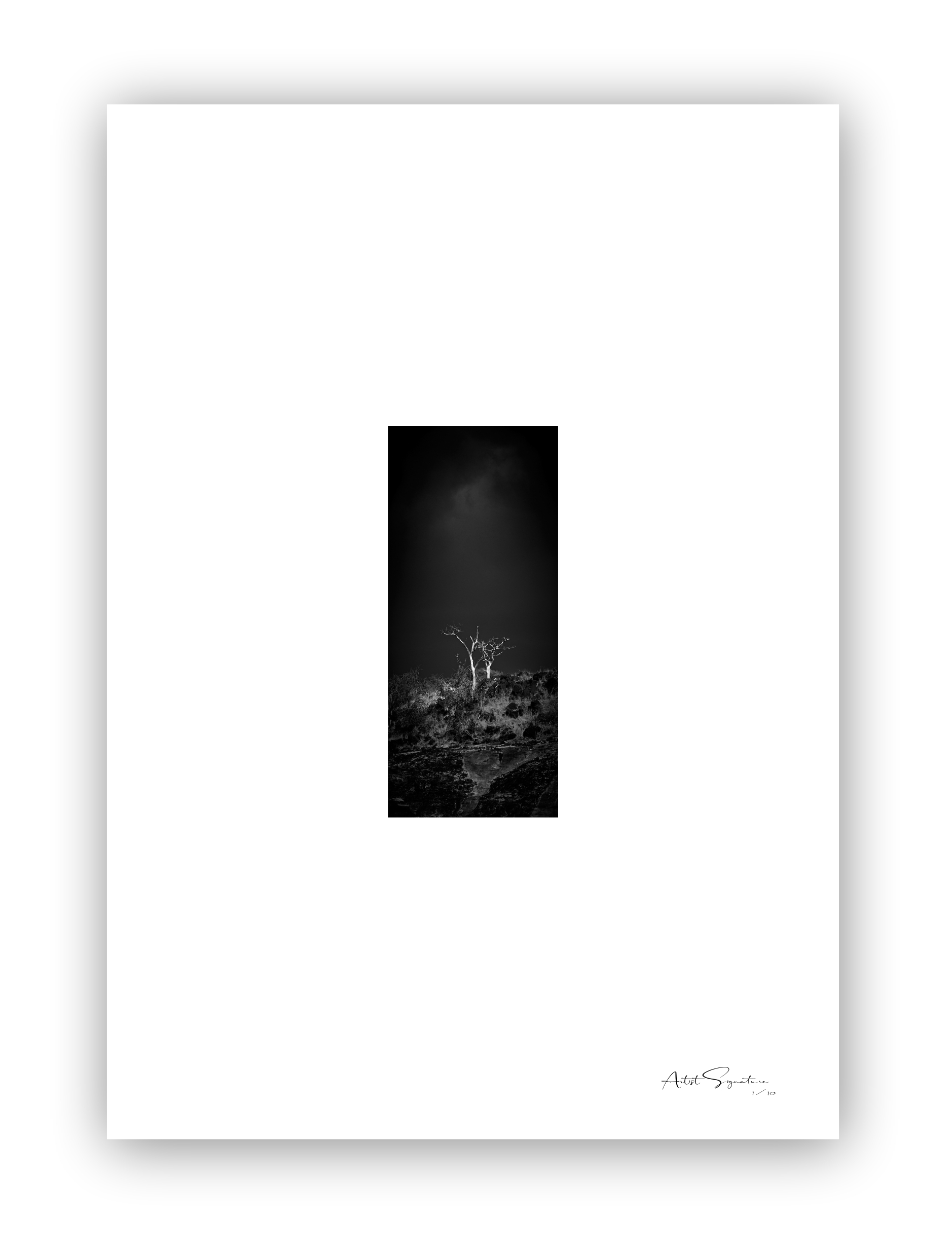 Two trees beautifully lit against a moody sky to create spacial and temporal dimensions